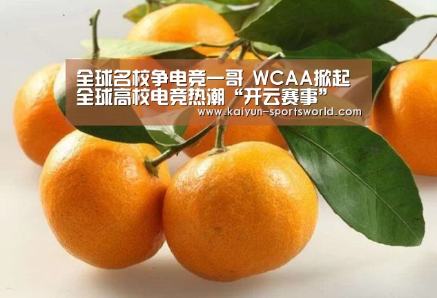 全球名校争电竞一哥 WCAA掀起全球高校电竞热潮“开云赛事”(图2) 开云足球