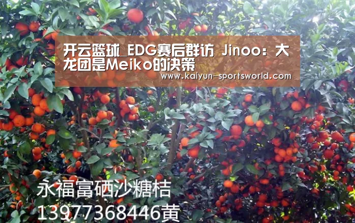开云篮球_EDG赛后群访 Jinoo:大龙团是Meiko的决策(图2) 开云篮球