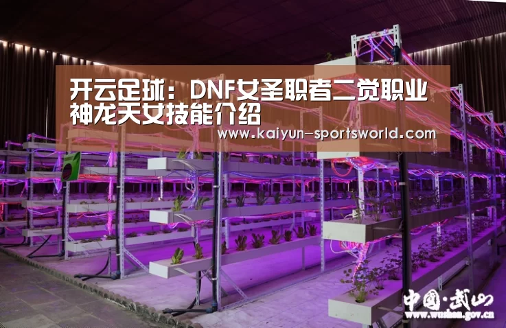 开云足球:DNF女圣职者二觉职业神龙天女技能介绍(图3) 开云赛事