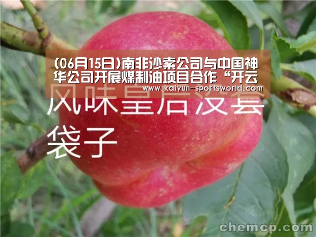 (06月15日)南非沙索公司与中国神华公司开展煤制油项目合作“开云足球”(图1) 开云足球