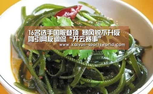 16名选手国服登顶 暴风锐不升反降引网友调侃“开云赛事”(图1) 开云足球