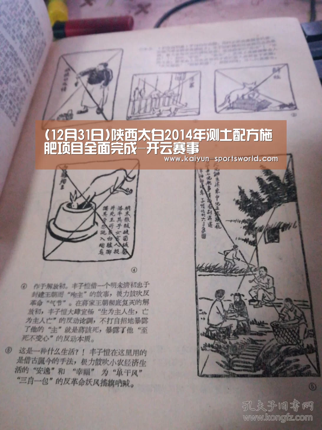 (12月31日)陕西太白2014年测土配方施肥项目全面完成-开云赛事(图3) 开云足球